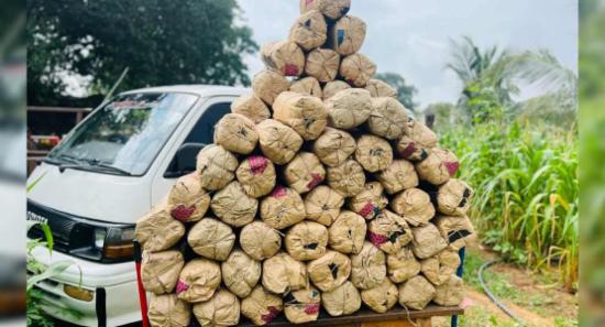 බණ්ඩාරවෙලදී ගංජා කිලෝ 111ක් සමග තිදෙනෙකු අත්අඩංගුව